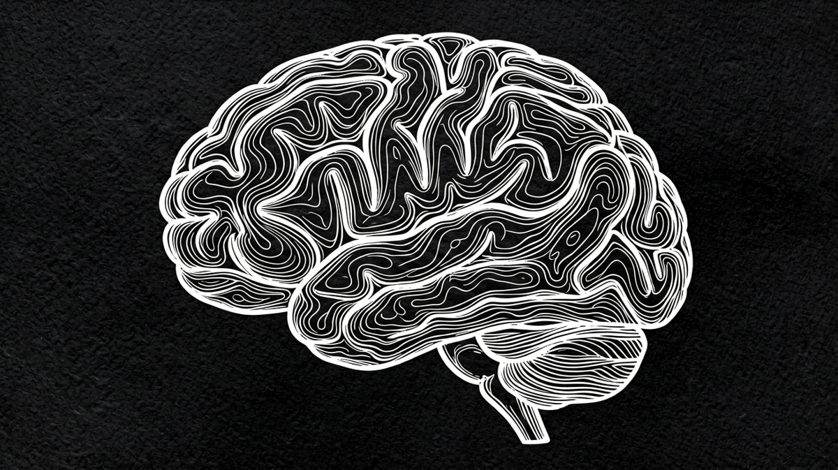 喜欢脚到底正常吗?调教脚奴文化的科学起点